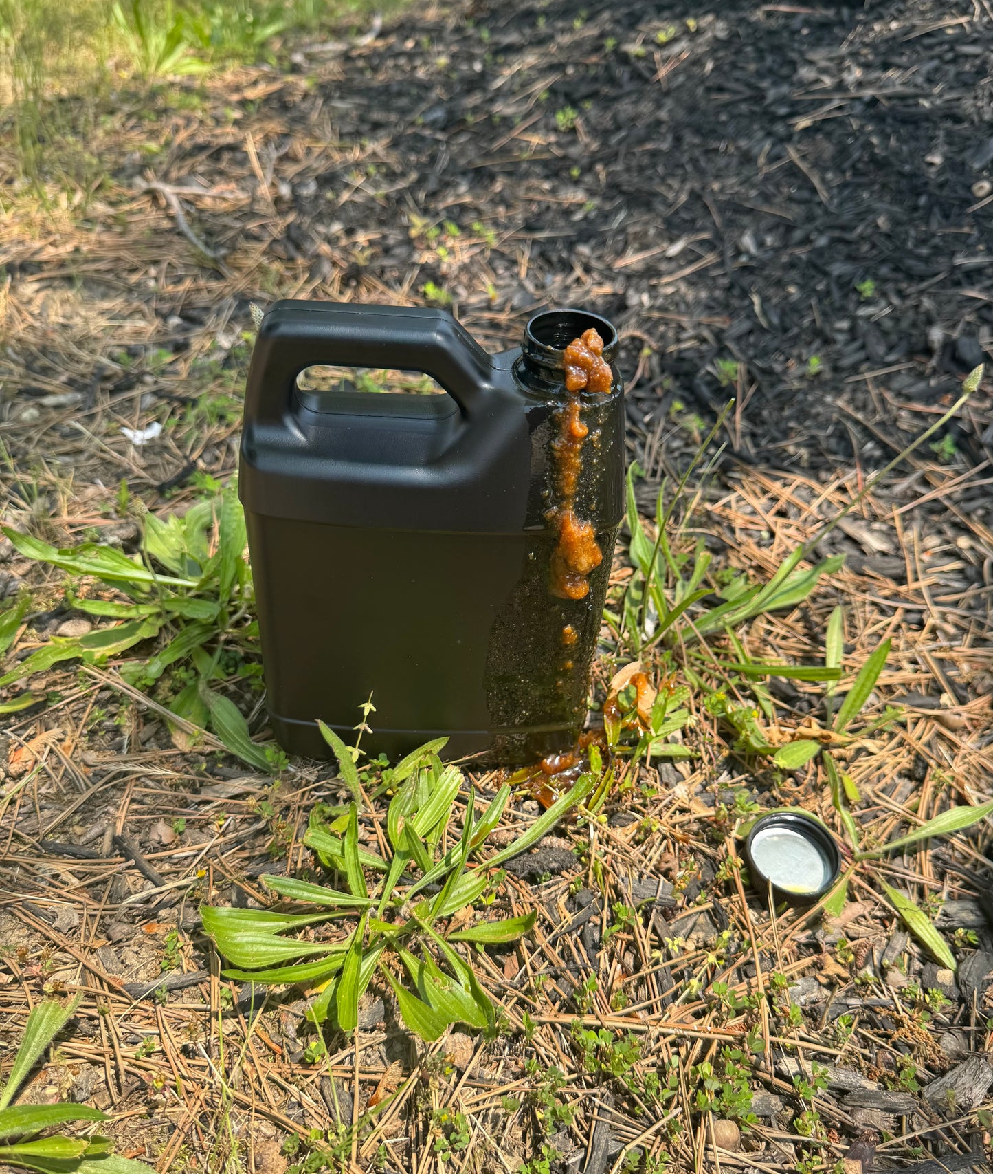 Batana Oil