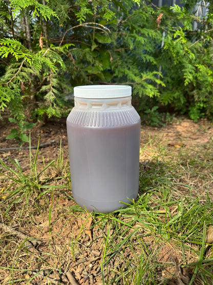 WHOLESALE - Batana Shampoo by the Gallon
